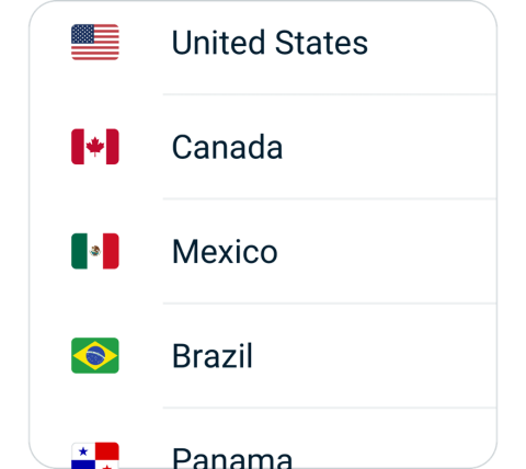 FengniaoVPN connect step 2, choose VPN server location